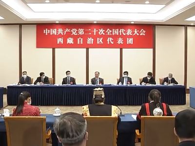 汪洋参加党的二十大西藏代表团讨论