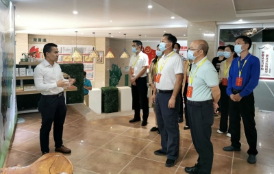 市政协调研督办重点提案《关于大力引进和培育高层次人才的建议》办理落实情况