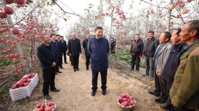 习近平在陕西延安和河南安阳考察时强调 全面推进乡村振兴 为实现农业农村现代化而不懈奋斗