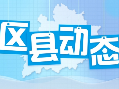 鸿都小学创新实施“12345党建工程” 党建引领为教育赋能增效