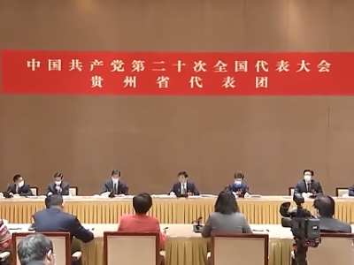 王沪宁参加党的二十大贵州代表团讨论