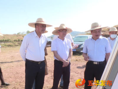 省自然资源厅一行到五华调研土地开发项目