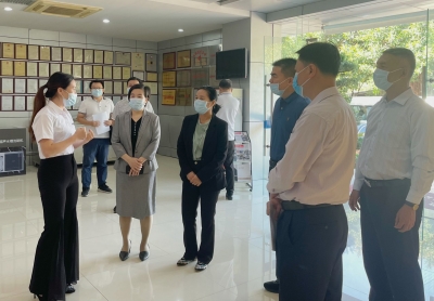 市人大常委会组织开展《广东省知识产权保护条例》执法检查：强化知识产权保护 为创新发展“护航”