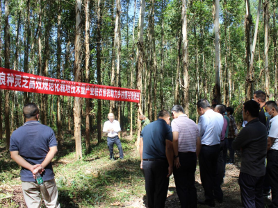 如何种好灵芝？梅江区开展了这场培训会…