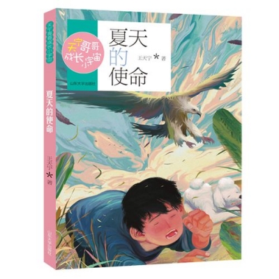 小记荐书丨《夏天的使命》