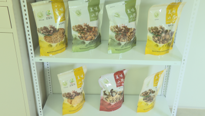 小“菌群”大产业！蕉岭这家企业深耕食用菌产业助力乡村振兴