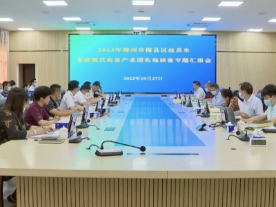 省农业农村厅核查组到梅县区开展核查工作：高质高效建好丝苗米省级现代农业产业园