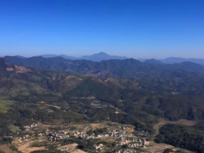 实施面积10377亩！丰顺提前完成年度高质量水源林建设项目