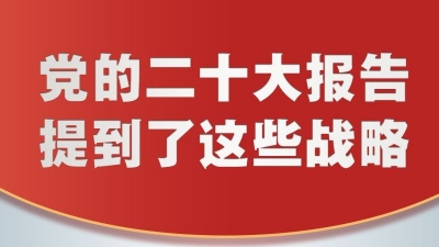 党的二十大报告，提到了这些战略！