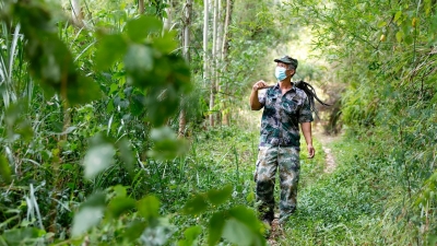 国庆坚守在岗 守护山林无恙！梅州日报记者带你走近护林一线日常
