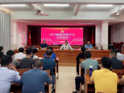 兴宁市水口镇：层层传导压力，全民动员筑牢森林“防火墙”