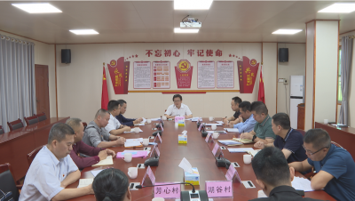 刘鸿涛率队调研党建引领基层治理促乡村振兴工作