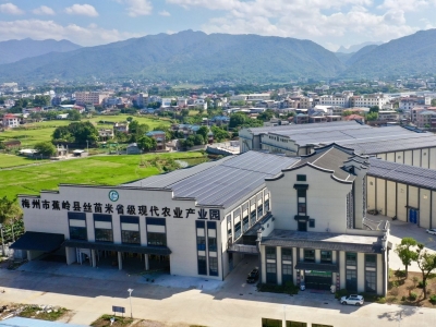 赞！蕉岭这家企业入选广东省工业旅游培育资源库入库名单