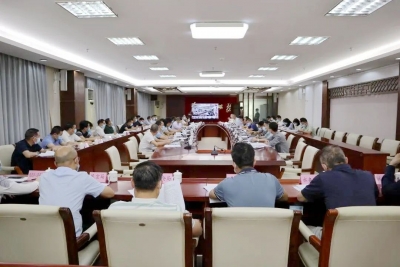 凌晓文主持召开县政府党组（扩大）会议 推动党的二十大精神在大埔落地见效