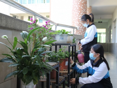 班级建设为校园文化添亮点！梅江区水白中学加强班级文化建设美化育人环境