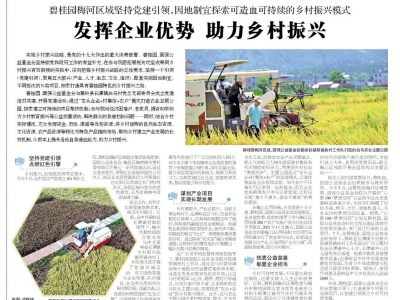 非凡十年看梅州丨碧桂园梅河区域坚持党建引领，因地制宜探索可造血可持续的乡村振兴模式 