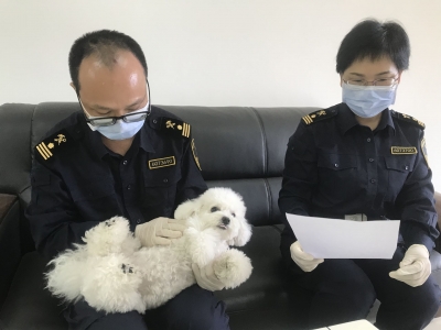 梅州海关首次签发出境伴侣动物通关“护照”