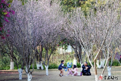 平远县实验小学陈洁丨冬季欢乐颂