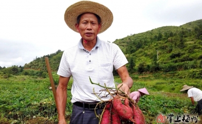 丰顺县八乡山镇入选！第十二批全国“一村一品”示范村镇名单公示