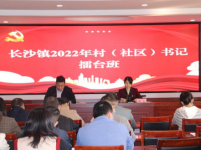 梅江区长沙镇：“五大行动”激活农村基层党组织干事创业活力