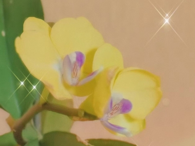 李辉｜有一种爱叫花式吵架