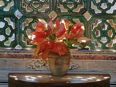 曾洪｜母亲的药箱