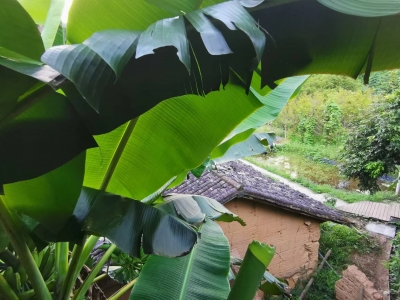 丘桂贤｜俗语正解（三）:告化子还是教化子？