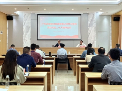 嘉城建设集团党委召开传达学习贯彻党的二十大精神会议