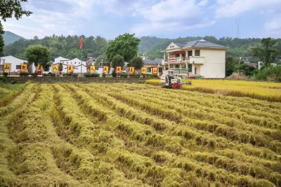 刘礼达｜父亲的房子
