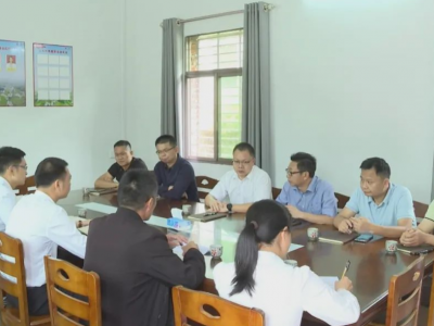 周小勇到河头镇调研