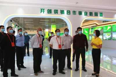 邓强率人大视察组视察兴宁市供销联社冷链物流骨干网建设