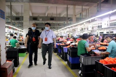 兴宁市政协机关党支部：聚焦“三突出三打造” 推动党建工作高质量发展
