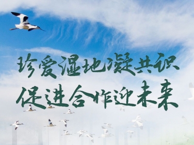 珍爱湿地凝共识 促进合作迎未来——写在《湿地公约》第十四届缔约方大会举办之际   