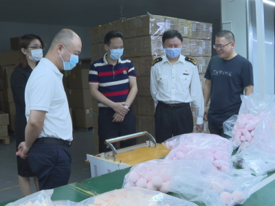 杨浩到蕉岭调研：强化监管优化服务 推动外贸稳中提质 
