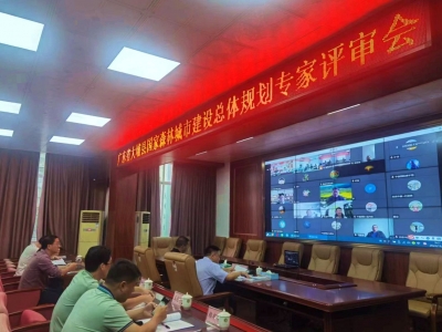 大埔“创森”总规通过国家评审