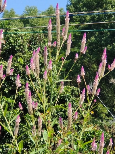 民谣中打上的时代烙印