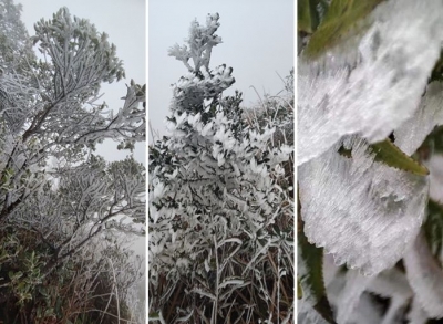 今冬首场雾凇来了！今天，梅州开启“仙境模式”→
