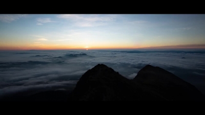 V视丨推进绿美广东生态建设