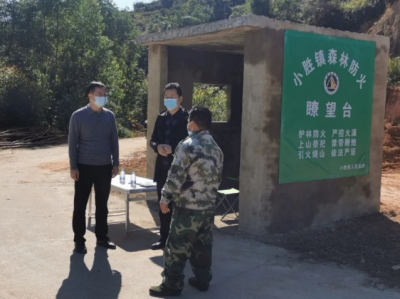 丰顺县领导率队督导检查安全生产、森林防灭火、地质灾害治理工作