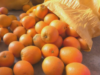 线上线下销售“两头旺”！平远脐橙热销成致富 “金果果”