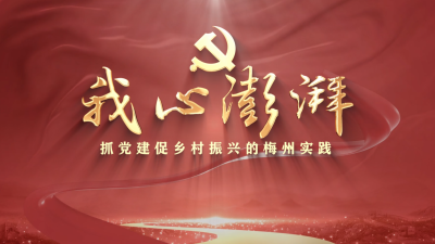 “党旗在乡村振兴一线高高飘扬”主题短视频丨《我心澎湃  ——抓党建促乡村振兴的梅州实践》