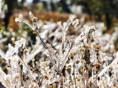 梅州市下发通知要求抓好近期强冷空气防御工作