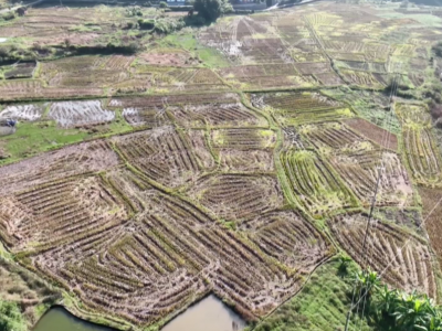 让“粮田”变“良田”！平远县全力推进1.4万亩高标准农田建设