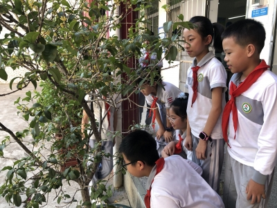 照片墙丨桂花香，读书郎 