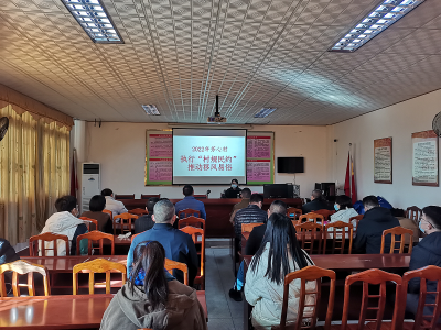 蕉岭县三圳镇芳心村开展村规民约推广宣讲活动