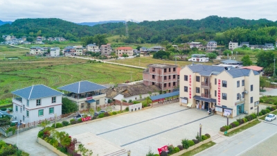 新时代 新征程 新伟业丨我市基层党组织推动党的建设与乡村振兴工作深度融合