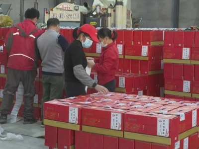 奏响消费帮扶“协奏曲”！逾117吨平远农家丝苗米飘香大湾区