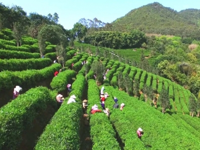 梅县区委基层治理领导小组会议召开：推动党建引领基层治理促乡村全面振兴