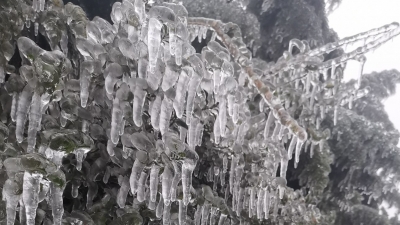 “冻”真格！未来一周冷空气活跃，梅州最低气温达5℃以下