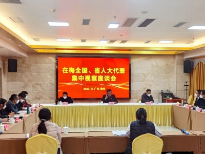 市人大常委会组织在梅全国、省人大代表开展集中视察活动：履职尽责践初心 推动发展担使命